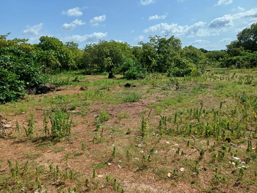 Un lot de 700m² a waragniéné